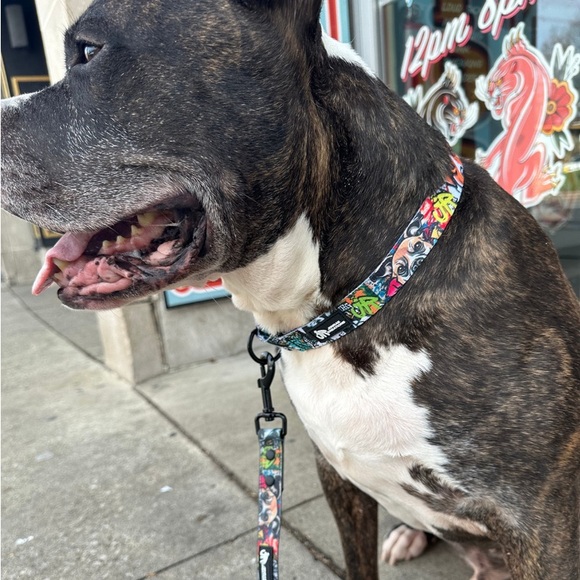 Waterproof Leash & Collar set - Ruff Streets Collection - Picture 4 of 9